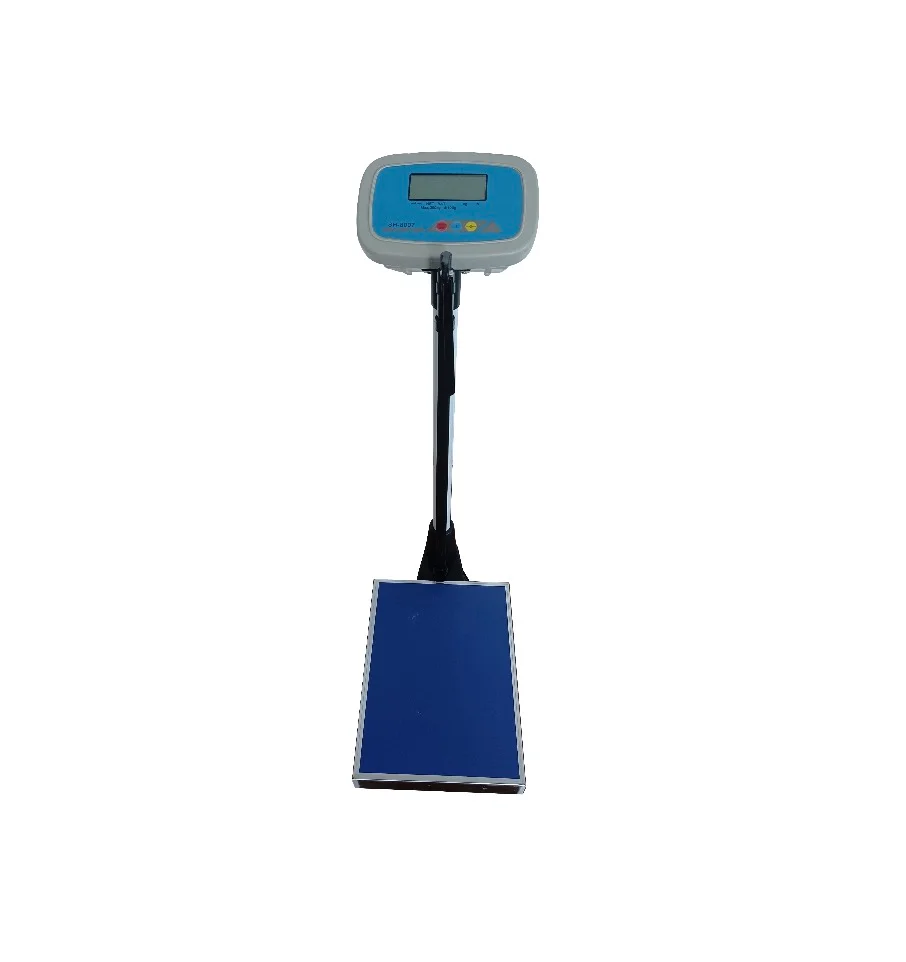 Digital weighing scale with a large display screen mounted on a stand and a rectangular blue base.
